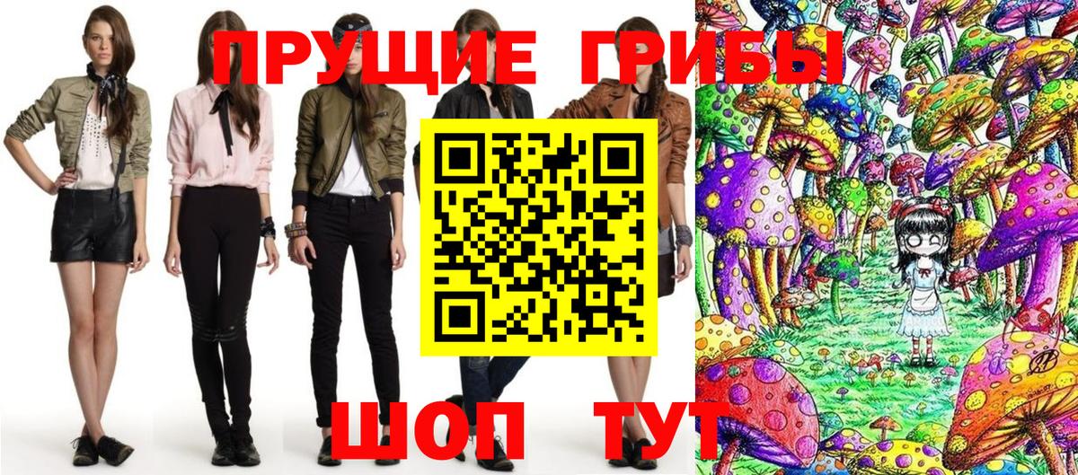 закладки  Вход с VPN  Псилоцибиновые грибы Magic Shrooms  Кольчугино  Псилоцибиновые грибы мухоморы 